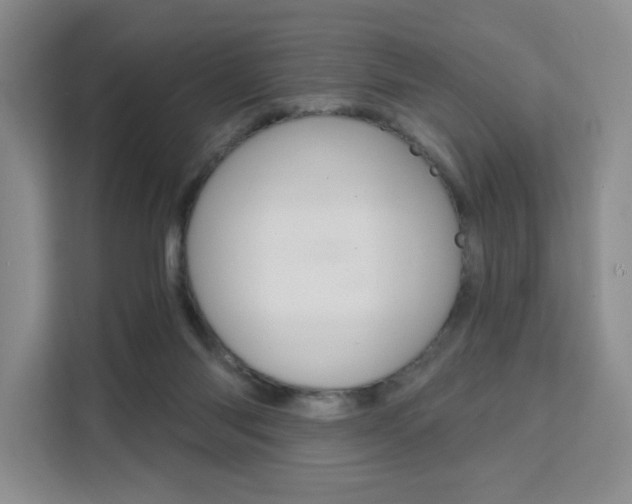 X0000111510118200907141112