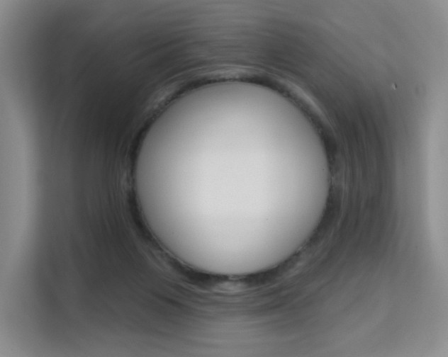 X0000111510119200907141112