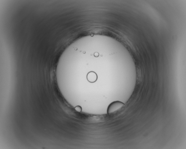 X0000111510126200907141112
