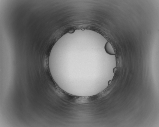 X0000111510138200907141112