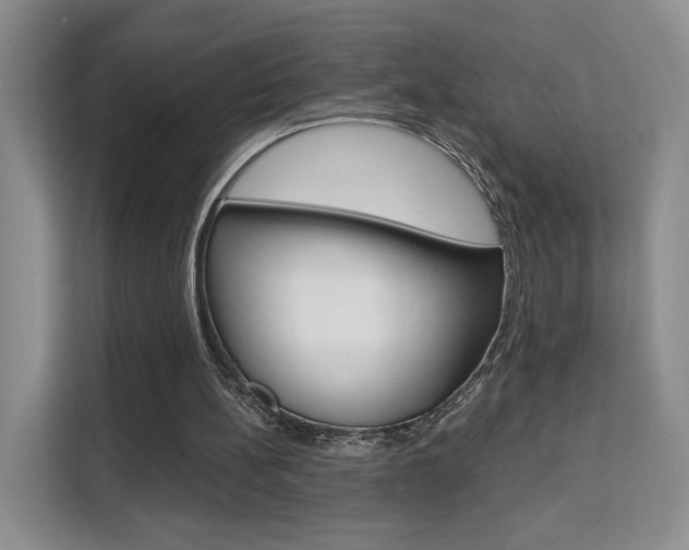 X0000111510148200907141111