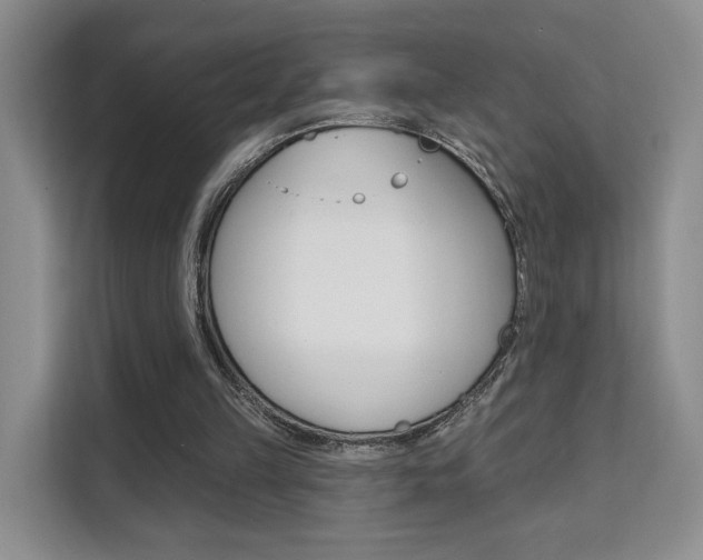 X0000111510149200907141111