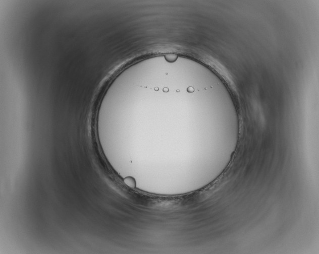 X0000111510155200907141111