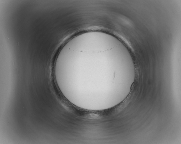 X0000111510159200907141111