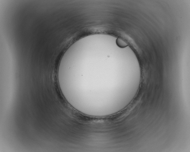 X0000111510161200907141111