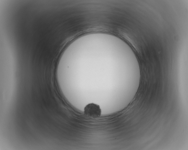 X0000111510164200907141111