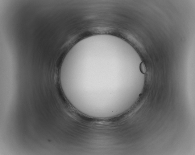 X0000111510165200907141111