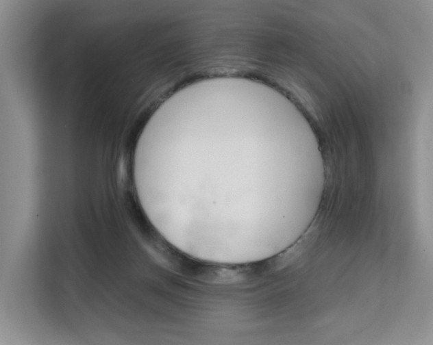 X0000111510166200907141111
