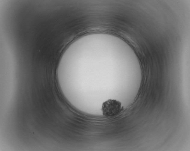 X0000111510168200907141111