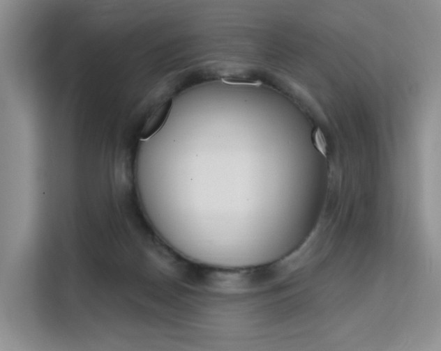 X0000111510170200907141111