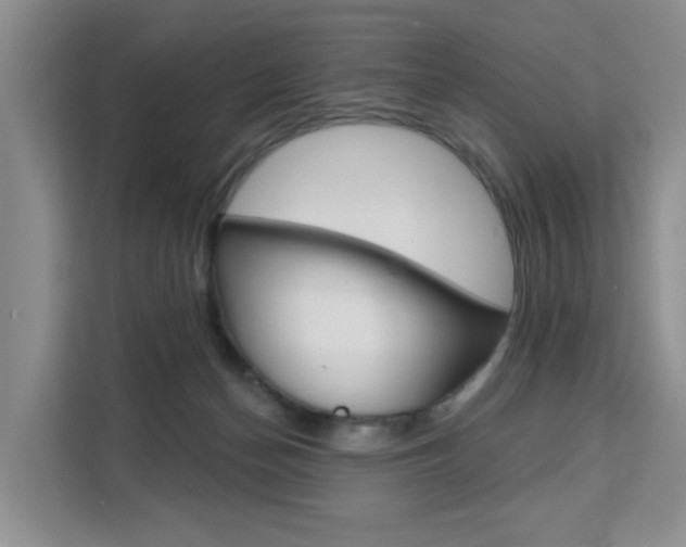 X0000111510174200907141111