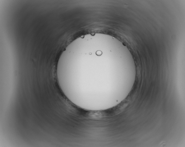 X0000111510181200907141111