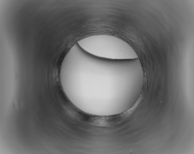 X0000111510182200907141111