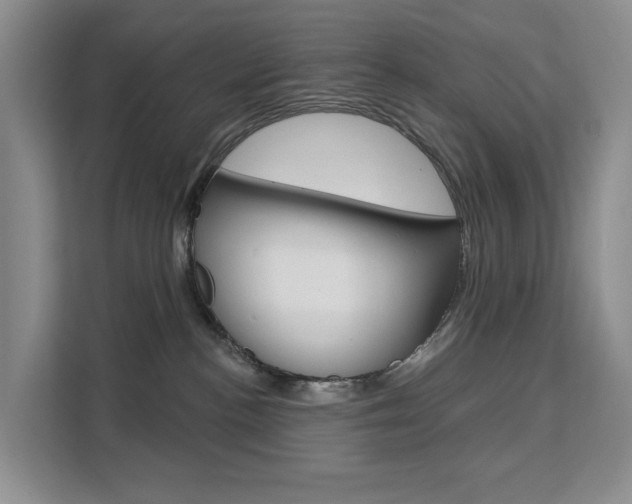 X0000111510188200907141111