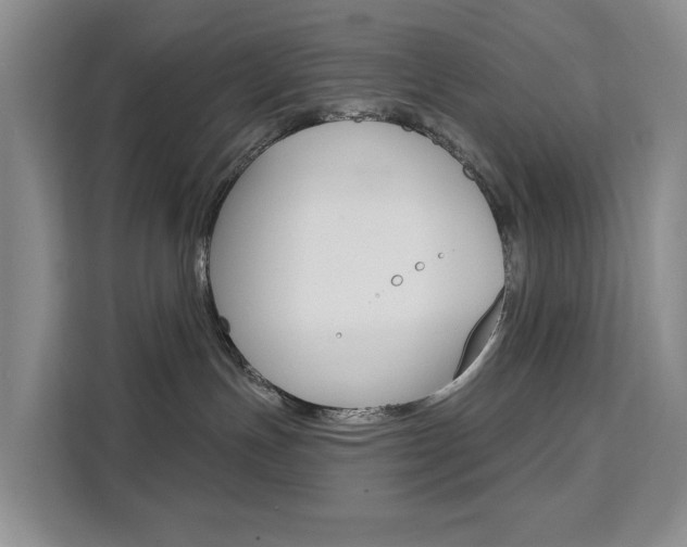X0000111510191200907141112