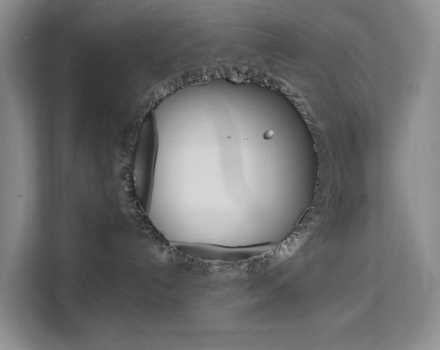 X0000111510192200907141112