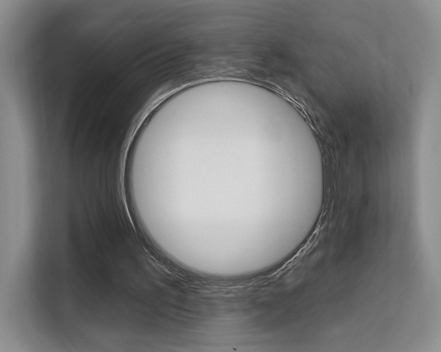 X0000111510195200907141111