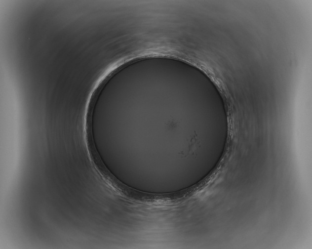 X0000111510196200907141111