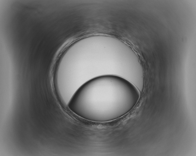X0000111510197200907141111