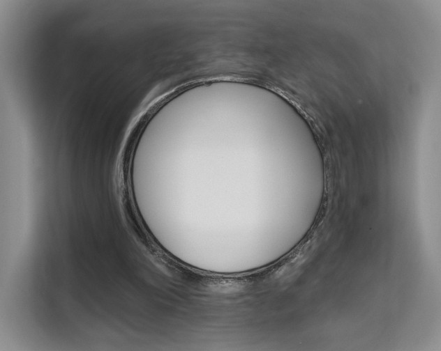 X0000111510198200907141111