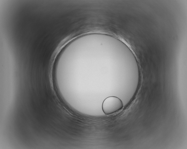 X0000111510199200907141111