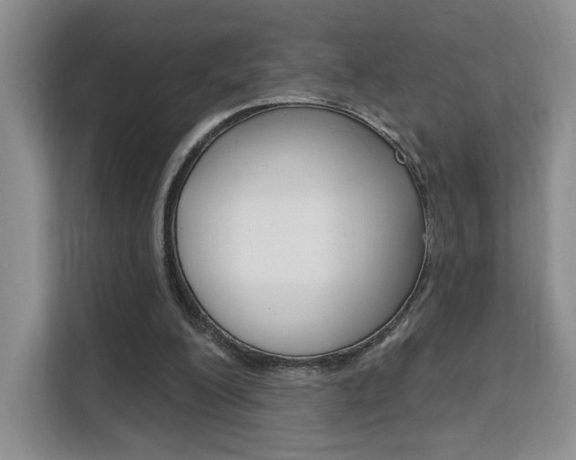 X0000111510200200907141111