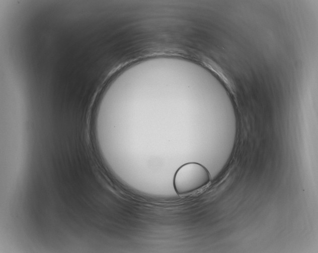 X0000111510203200907141111