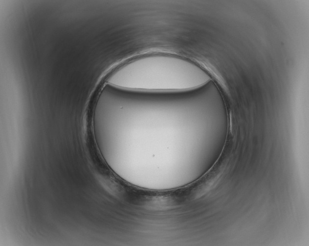 X0000111510204200907141111