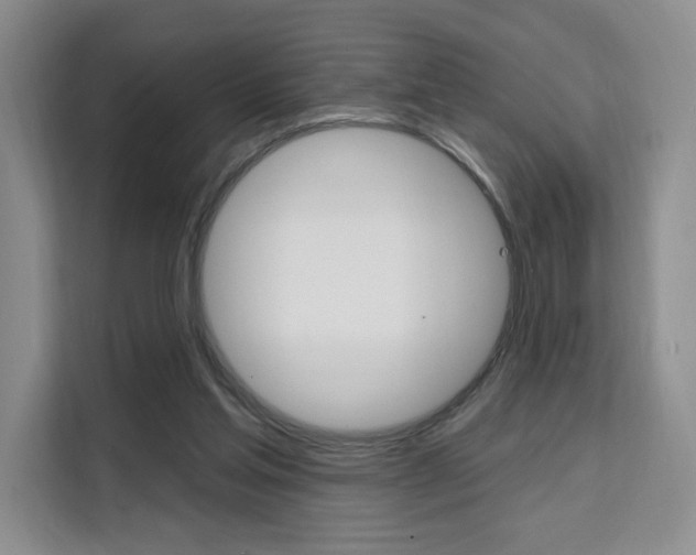 X0000111510205200907141111