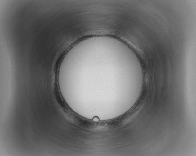 X0000111510206200907141111