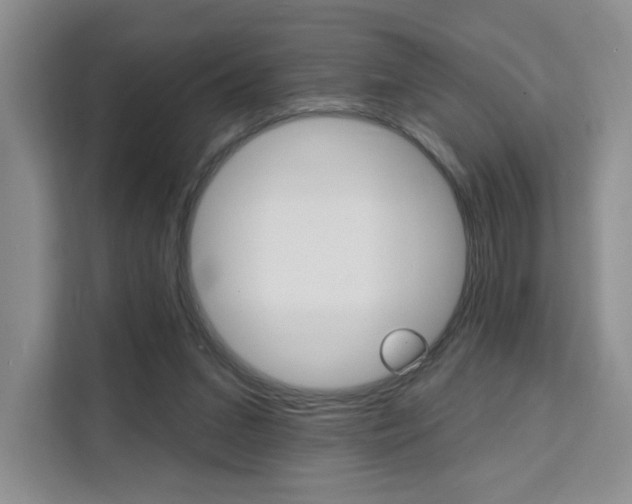 X0000111510207200907141111