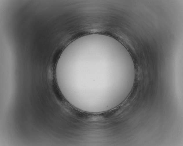 X0000111510210200907141111