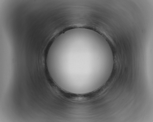 X0000111510212200907141111