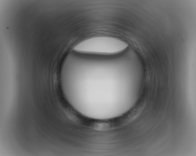 X0000111510220200907141111