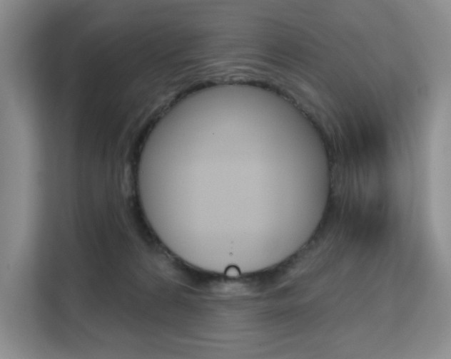 X0000111510224200907141111