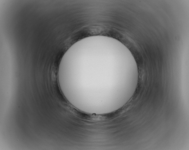 X0000111510226200907141110