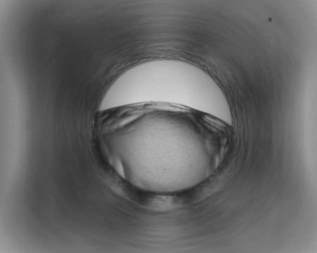X0000111510227200907141110