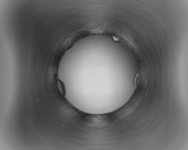 X0000111510229200907141110