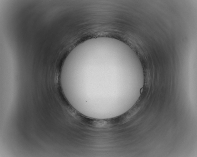 X0000111510230200907141110