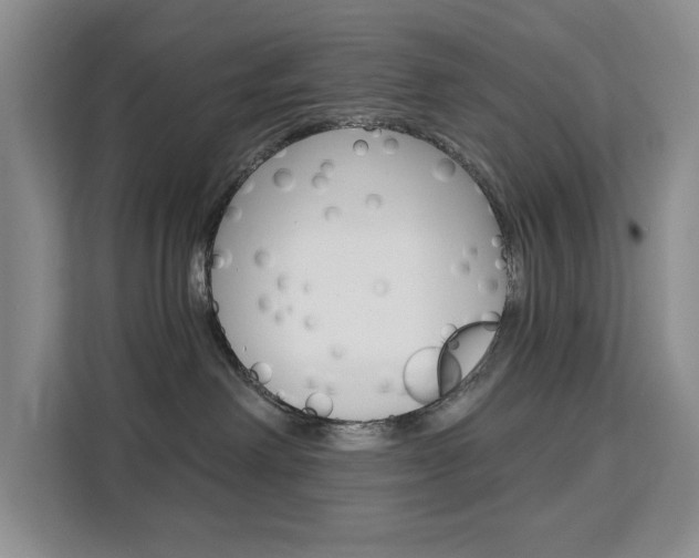 X0000111510238200907141110