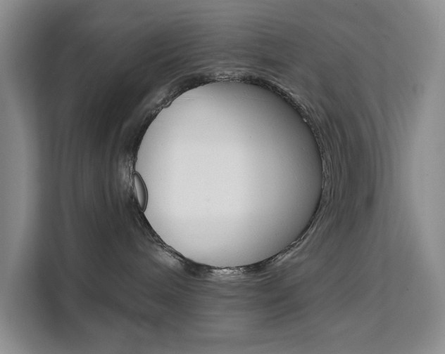 X0000111510240200907141110