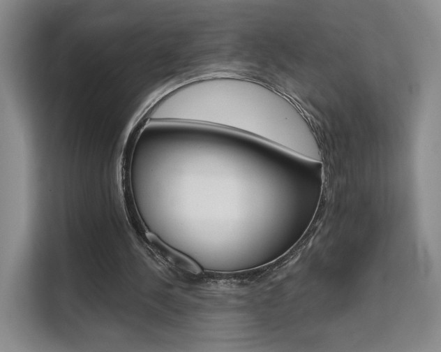 X0000111510244200907141110