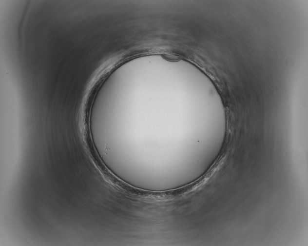 X0000111510245200907141110