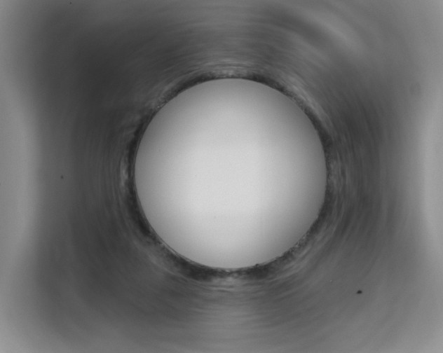 X0000111510259200907141110