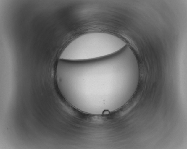X0000111510261200907141110