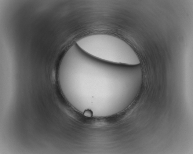 X0000111510262200907141110