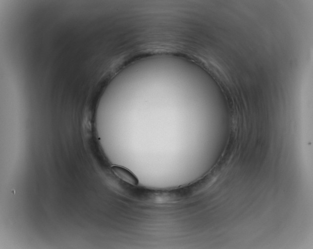 X0000111510264200907141110