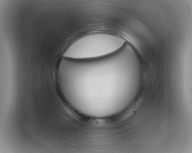 X0000111510265200907141110