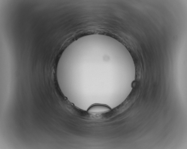 X0000111510279200907141110