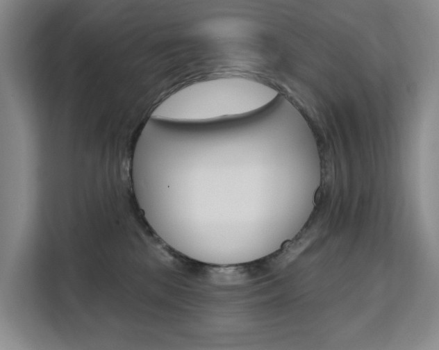 X0000111510281200907141110